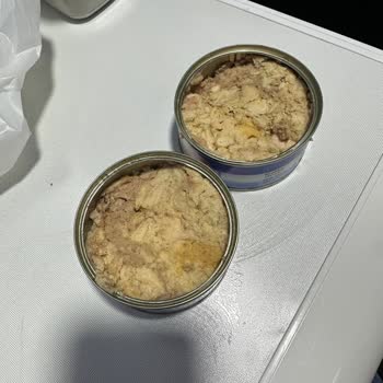 Taze Olmayan Ton Balığı Şikayeti