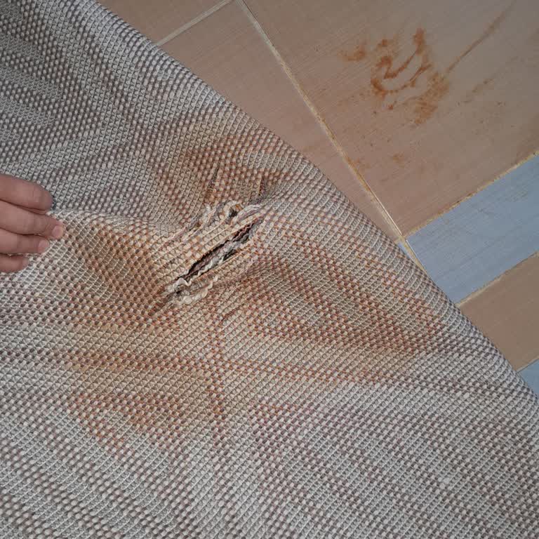 Decomia Home Kalitesiz Halılar