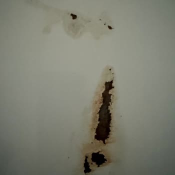 Arçelik Buzdolabı Paslanma Sorunu Ve Yüksek Değişim Ücreti