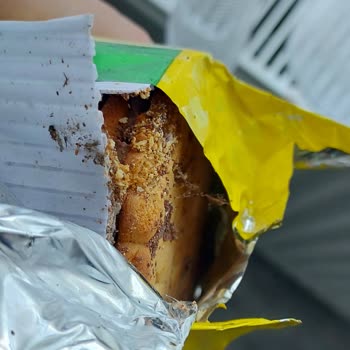 Şimşek Xroll Protein Kurtlanmış