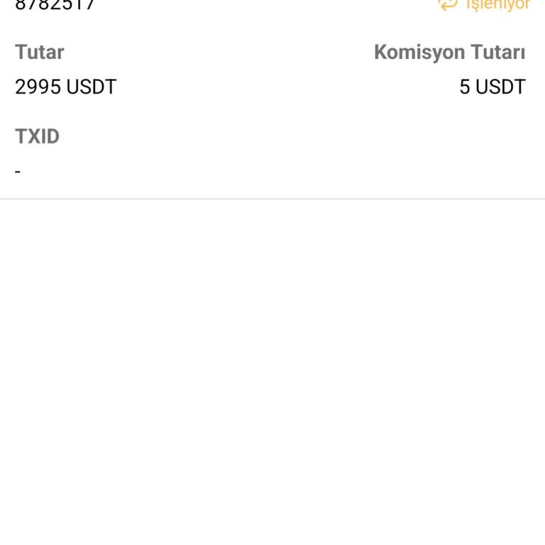 USDT Çekim Talebi Ve Bildirim Sorunu