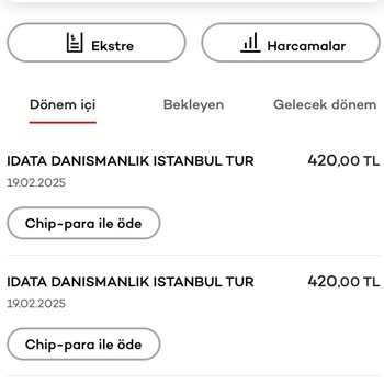 Vize Başvurusunda Çifte Ödeme Sorunu