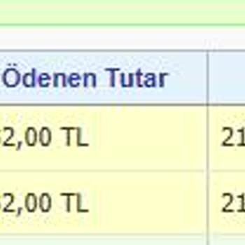Ödeme Onayı Bekleniyor: Destek Ekibi Yanıt Vermiyor