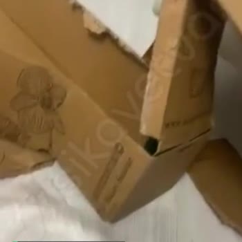 Heryerbitki Adresinden Sipariş Hüsranı!