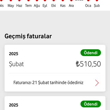 İzinsiz Oyun Üyeliği Ve Ücret Kesintisi Sorunu