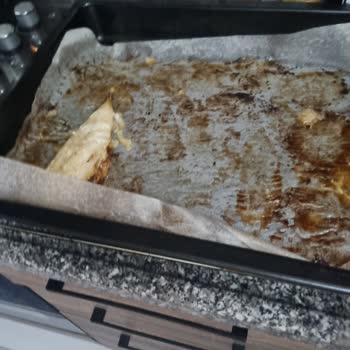 Dondurulmuş Uskumru Filetosu Hayal Kırıklığı