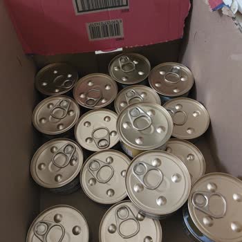 Migros'tan Aldığım Kedi Mamaları Sürekli Bozuk Çıkıyor