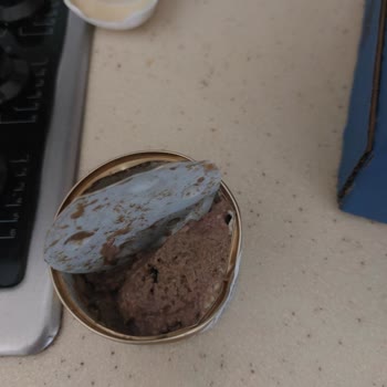 Migros'tan Aldığım Kedi Mamaları Sürekli Bozuk Çıkıyor