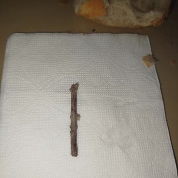 Uzman Kasap Etinde Hijyen Skandalı