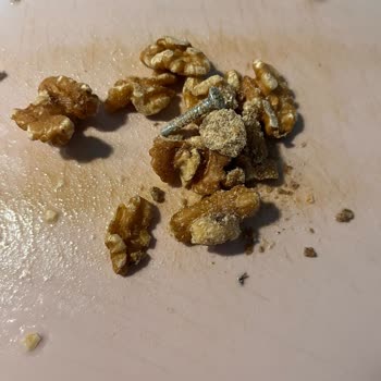 Migros'tan Aldığım Ceviz Paketinden Vida Ve Ölü Sinek Çıktı