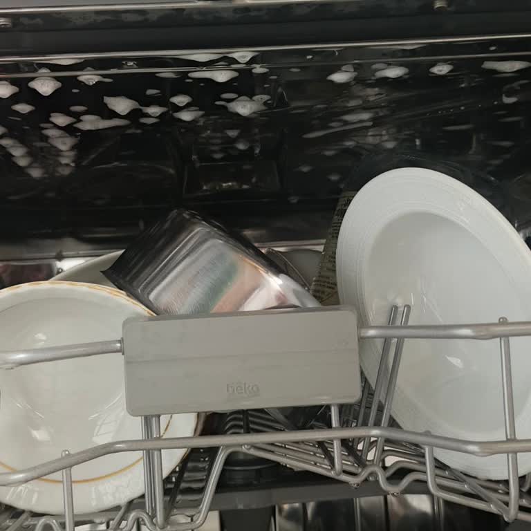 Bulaşık Makinesi Sorunu: Çözüm Bekleyen Müşteri