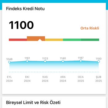 Kredi Puanı Düşüşü: Tüm Çabalar Boşa Mı?