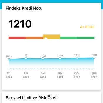 Kredi Puanı Düşüşü: Tüm Çabalar Boşa Mı?