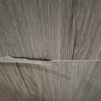 Koçtaş Ve Horoz Lojistik İle Yaşanan Teslimat Ve Ürün Hasarı Sorunu