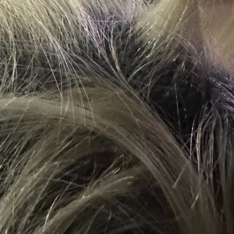 Rıza Demir Bayan Kuaför Saç Rengi Kabusu: Sarı Saçta Büyük Hayal Kırıklığı