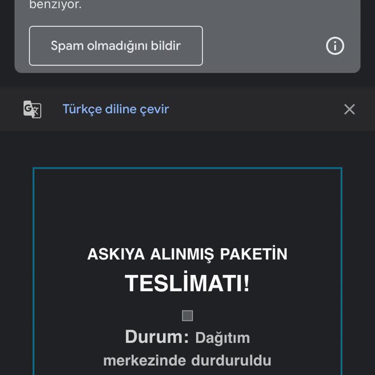 Yanıltıcı Kargo Mailleri Ve Bilgi Güvenliği Endişesi