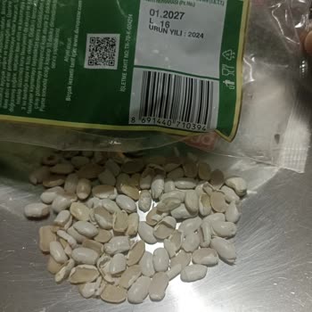 Duru Kuru Fasulyede Kalite Düşüşü Ve Kırık Fasulyeler