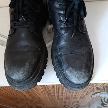 Botlarda Kalite Sorunu Ve Müşteri Hizmetleri Hayal Kırıklığı