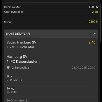 Ödeme Sorunları Ve Hesap Kısıtlaması