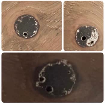 Dendro Parke Ürün Bilgisi Yanlış Aktarıldı Ve Destek Sağlanmadı