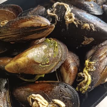 Midyeci Yasin Bandırma Şubesinde Kalite Düşüşü Ve Hijyen Sorunu