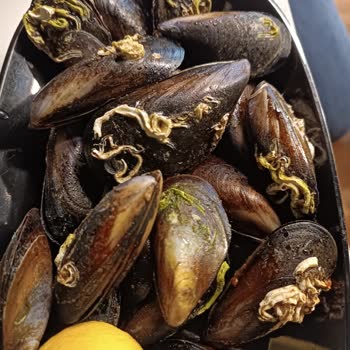 Midyeci Yasin Bandırma Şubesinde Kalite Düşüşü Ve Hijyen Sorunu