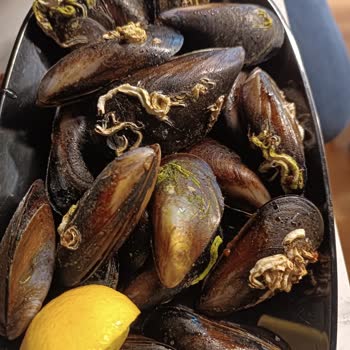 Midyeci Yasin Bandırma Şubesinde Kalite Düşüşü Ve Hijyen Sorunu