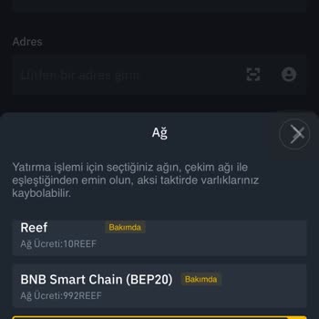 Reef Coin Delist Sorunu: Kalan Bakiye Kullanılamıyor