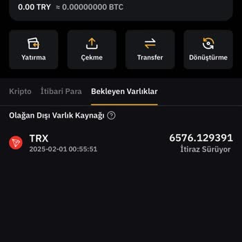 Bybit TR Cüzdanında Bloke Sorunu!