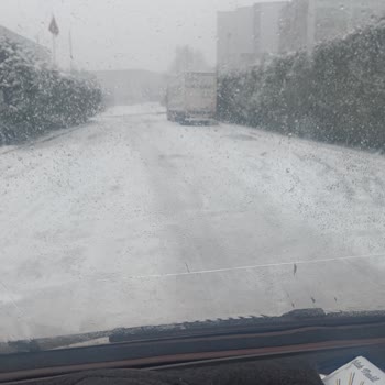Gebze'de Karla Mücadele Eksikliği