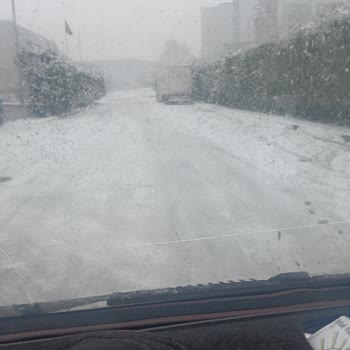 Gebze'de Karla Mücadele Eksikliği