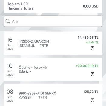 Kredi Kartı Güvenlik Açığı Ve Zara'nın İlgisizliği