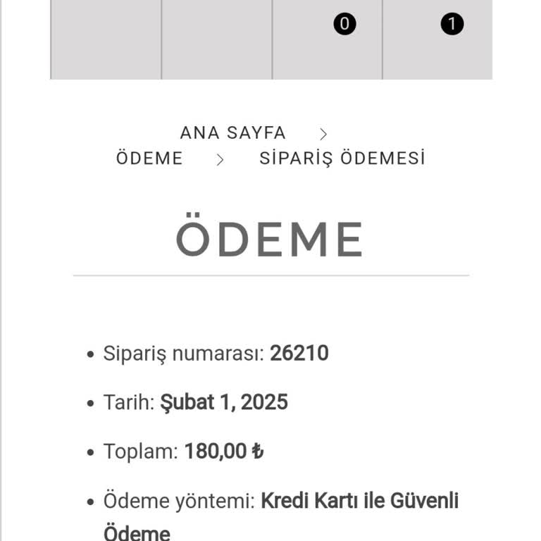 Ritim Sanat Yayınları Kitap Siparişi Kabusu: Kargo Ve İletişim Sorunları