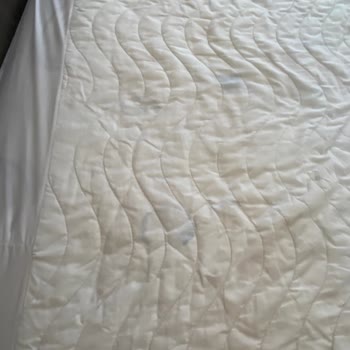 Ürün Boyası Sorunu: Mavi Lekeler Çıkmıyor