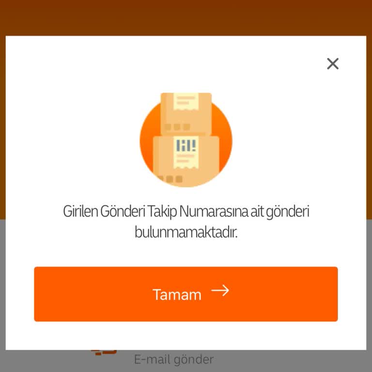 Kargo Takip Numarası Sorunu