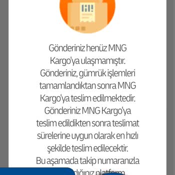 MNG Kargo Teslimat Sorunu: Paketler Yerine Ulaşmıyor