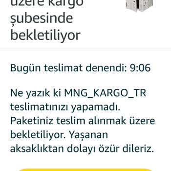 MNG Kargo Teslimat Sorunu: Paketler Yerine Ulaşmıyor