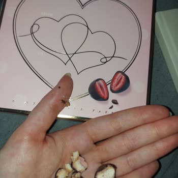 Çikolatalı Çilek Drajesinde Beklenmedik Kurabiye Sürprizi