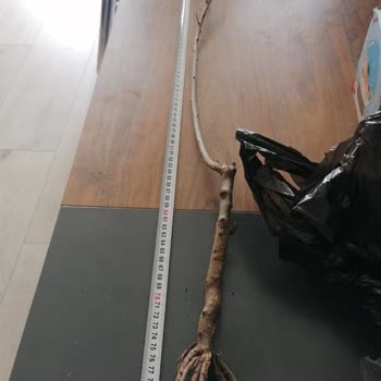 Eksik Ve Yanlış Ürün Teslimatı