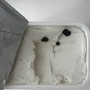 Son Kullanma Tarihi Gelmeden Küflenen Lor Peyniri