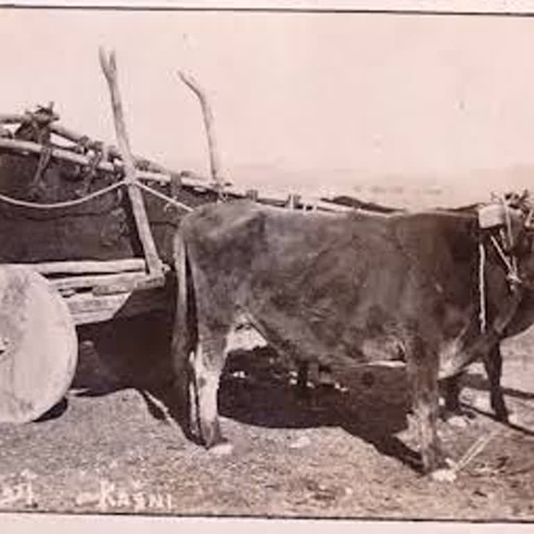 Sürat Kargo'nun Yavaşlığına İsyan