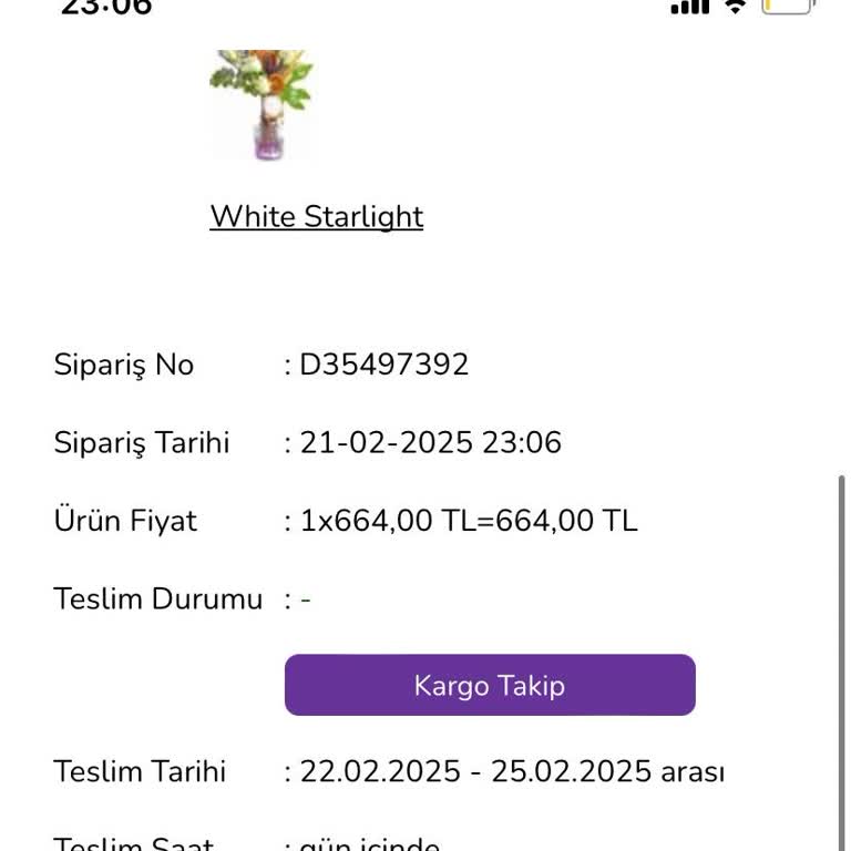 Taze Çiçek'te Teslimat Ve Destek Sorunları