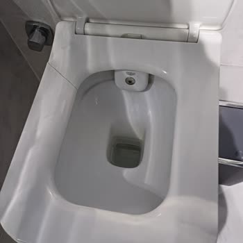 Beklenmedik Kırılma: Yavaş Kapanan Klozet Kapağı Sorunu