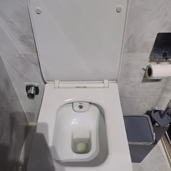 Beklenmedik Kırılma: Yavaş Kapanan Klozet Kapağı Sorunu