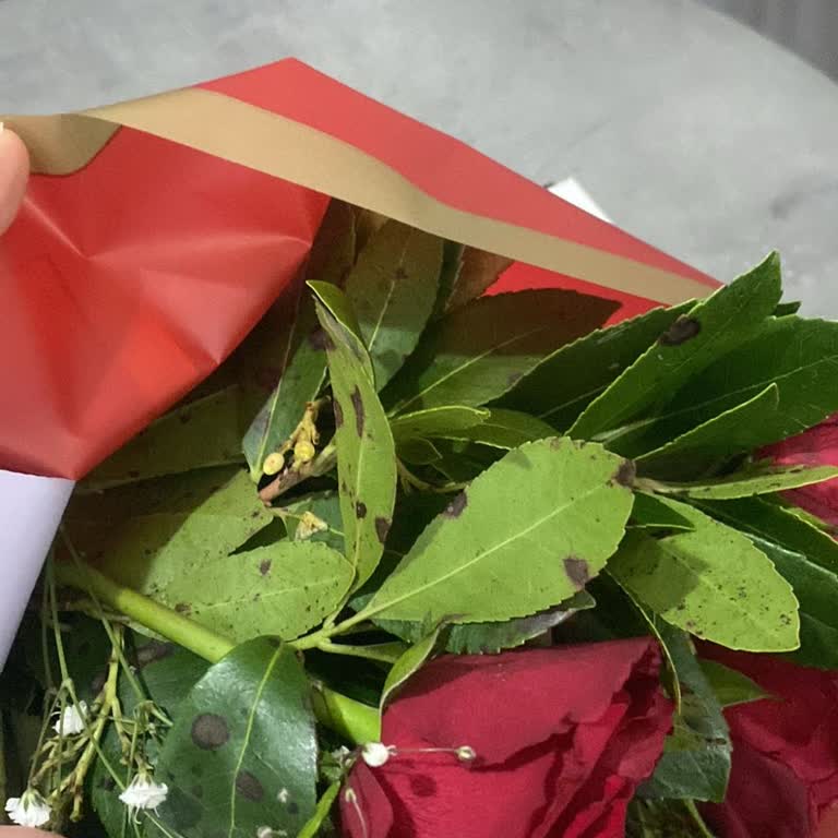 Getir Çarşı'dan Gelen Çürük Çiçekler Ve İade Sorunu