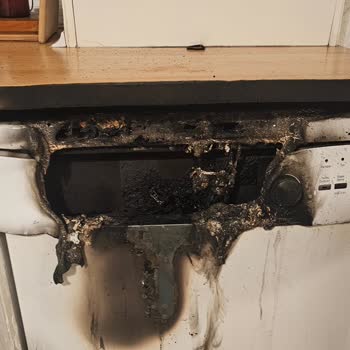 Arçelik Bulaşık Makinesi Faciası: Can Güvenliğimiz Tehlikede!