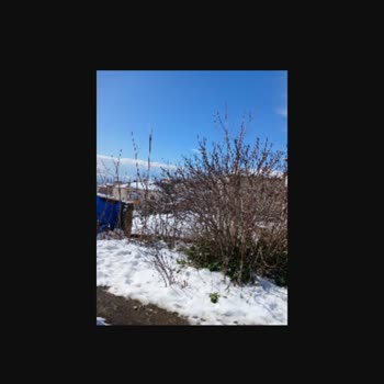 Yanlış Teslimat Ve Yalan Beyan: Aras Kargo'nun Sorumluluğu