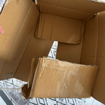 Gelin Çiçeği Hayal Kırıklığı