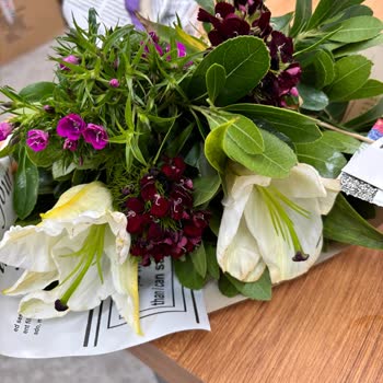 Solmuş Çiçeklerle Gelen Hayal Kırıklığı