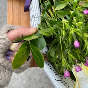 Solmuş Çiçeklerle Gelen Hayal Kırıklığı